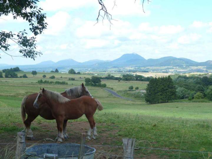 Lieu à visiter Puy-de-Dôme