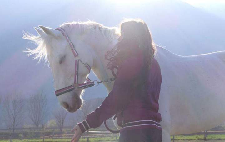 equitation