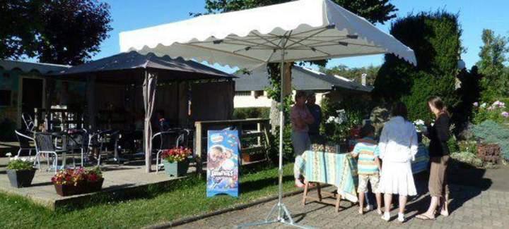 vénements communautaires au camping Puy-de-Dôme